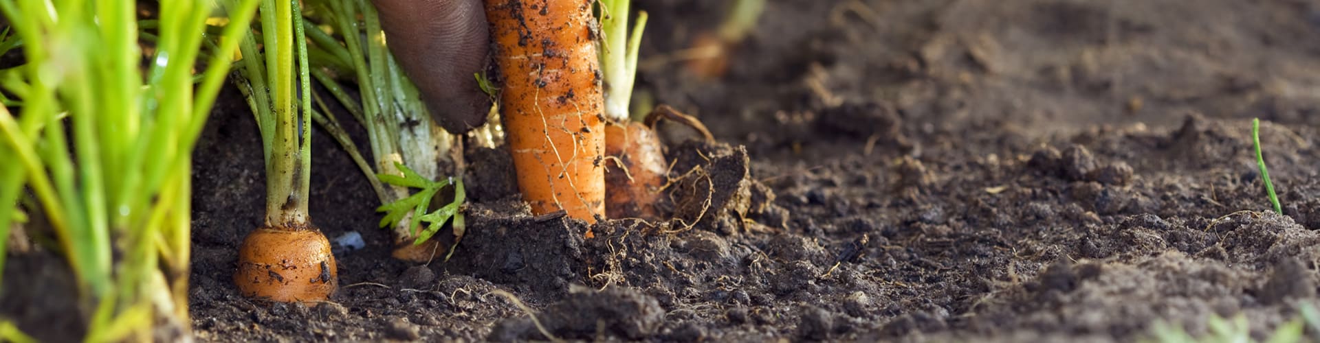 認証事業者一覧